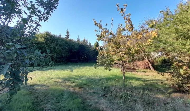 Działka inwestycyjna Maszewo Duże