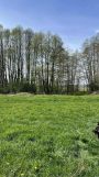 Działka rolno-budowlana Sadowie. Zdjęcie 2