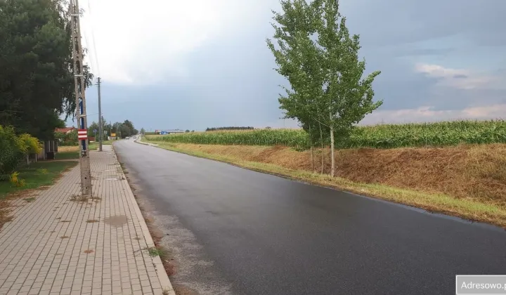 Działka siedliskowa Sieciechów