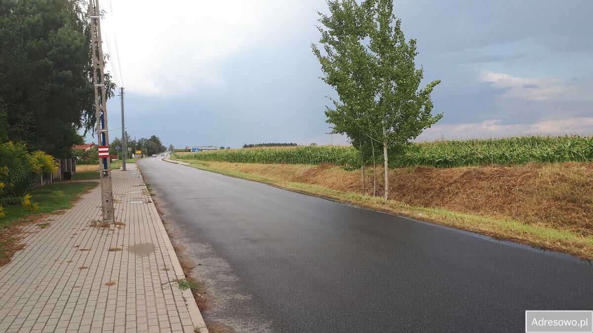 Działka siedliskowa Sieciechów