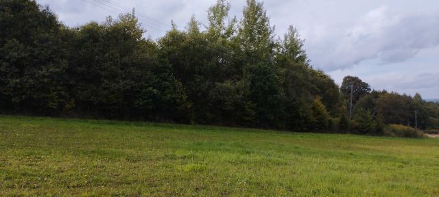 Działka rekreacyjna Gogołów. Zdjęcie 1