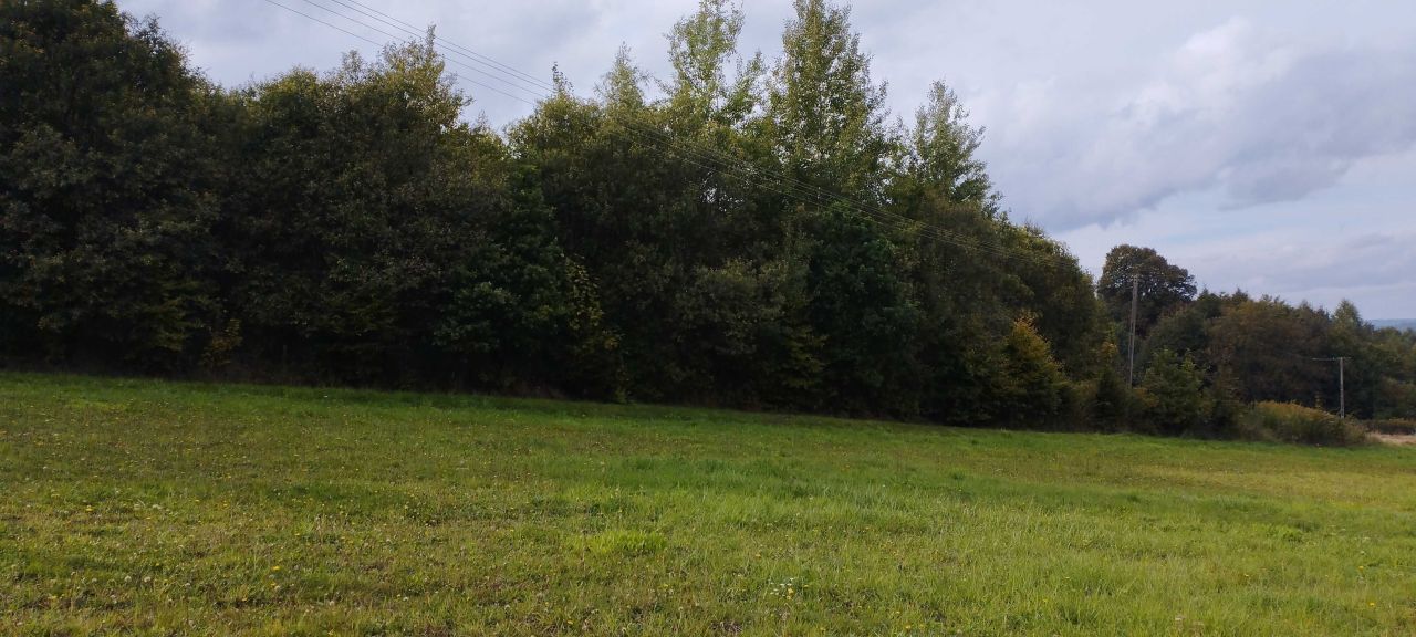 Działka rekreacyjna Gogołów