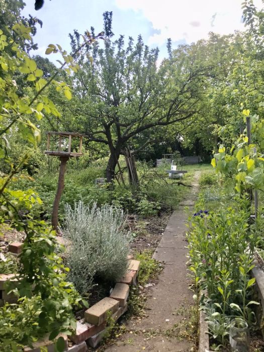 Działka rod Gdańsk Siedlce, ul. Józefa Wieniawskiego. Zdjęcie 9