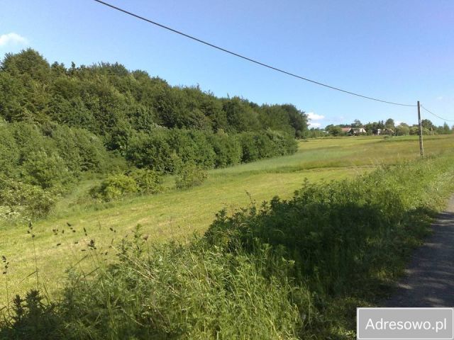Działka rolna Łęki Dukielskie. Zdjęcie 1