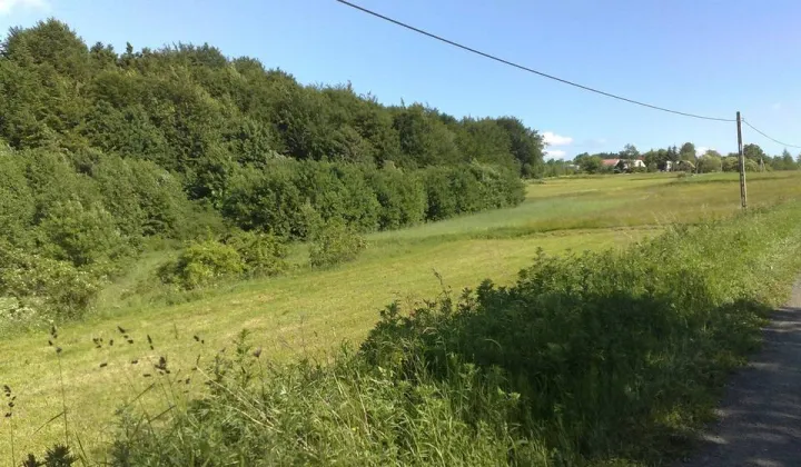 Działka rolna Łęki Dukielskie