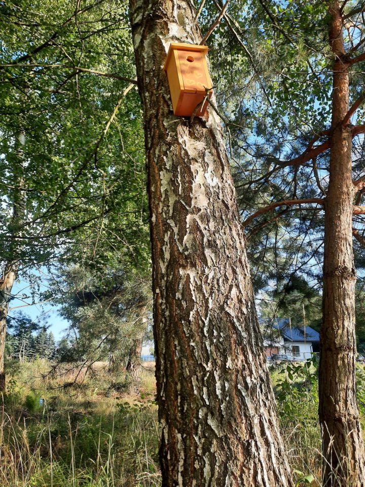 Działka rolno-budowlana Bielsk Podlaski, ul. Kleszczelowska. Zdjęcie 7