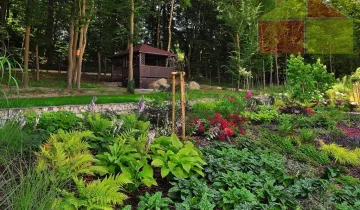 Działka na sprzedaż 
 
 Żary - Widok 5