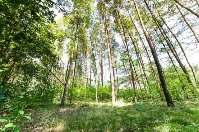 Działka rekreacyjna Poddębie. Zdjęcie 16