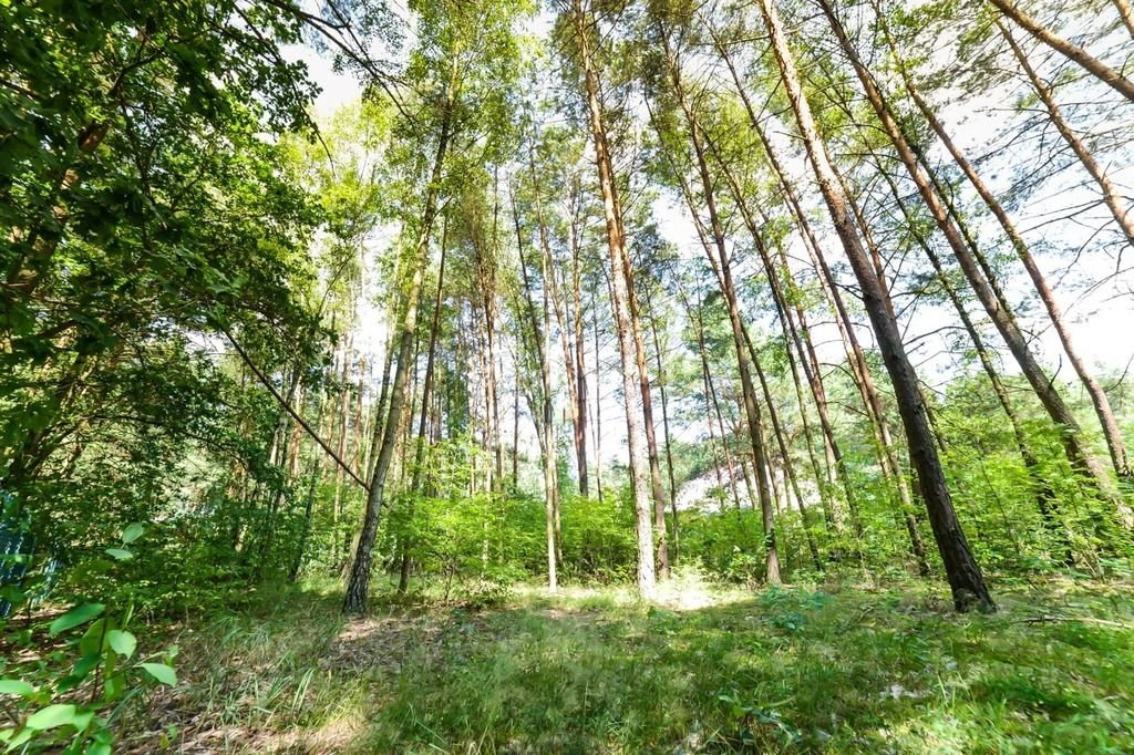 Działka rekreacyjna Poddębie. Zdjęcie 16