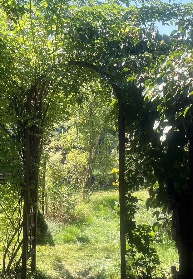 Działka rekreacyjna Jaroszowice Zbywaczówka. Zdjęcie 2