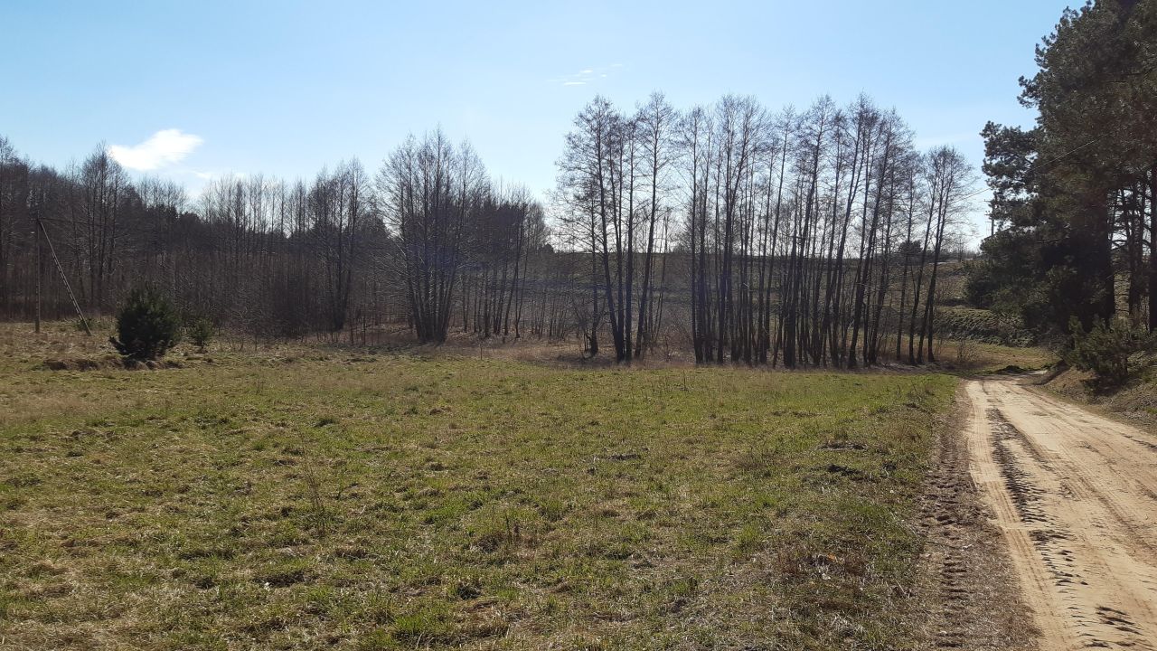 Działka rolno-budowlana Lembarg. Zdjęcie 3