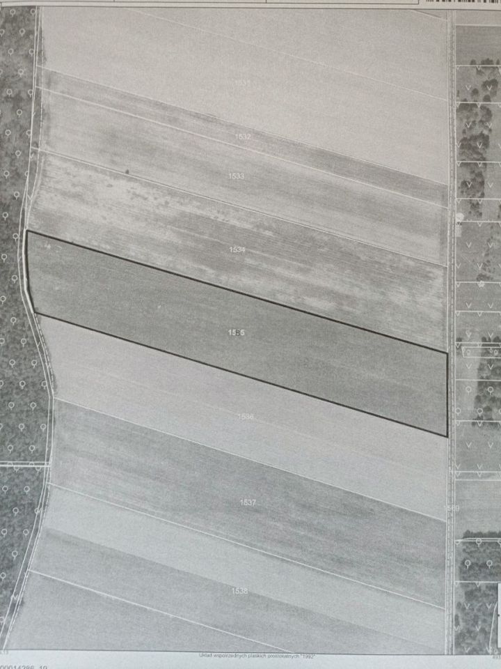 Działka rolna Siemkowice. Zdjęcie 2