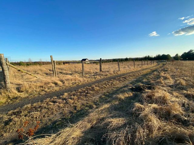 Działka rolna Lubieszewo. Zdjęcie 1