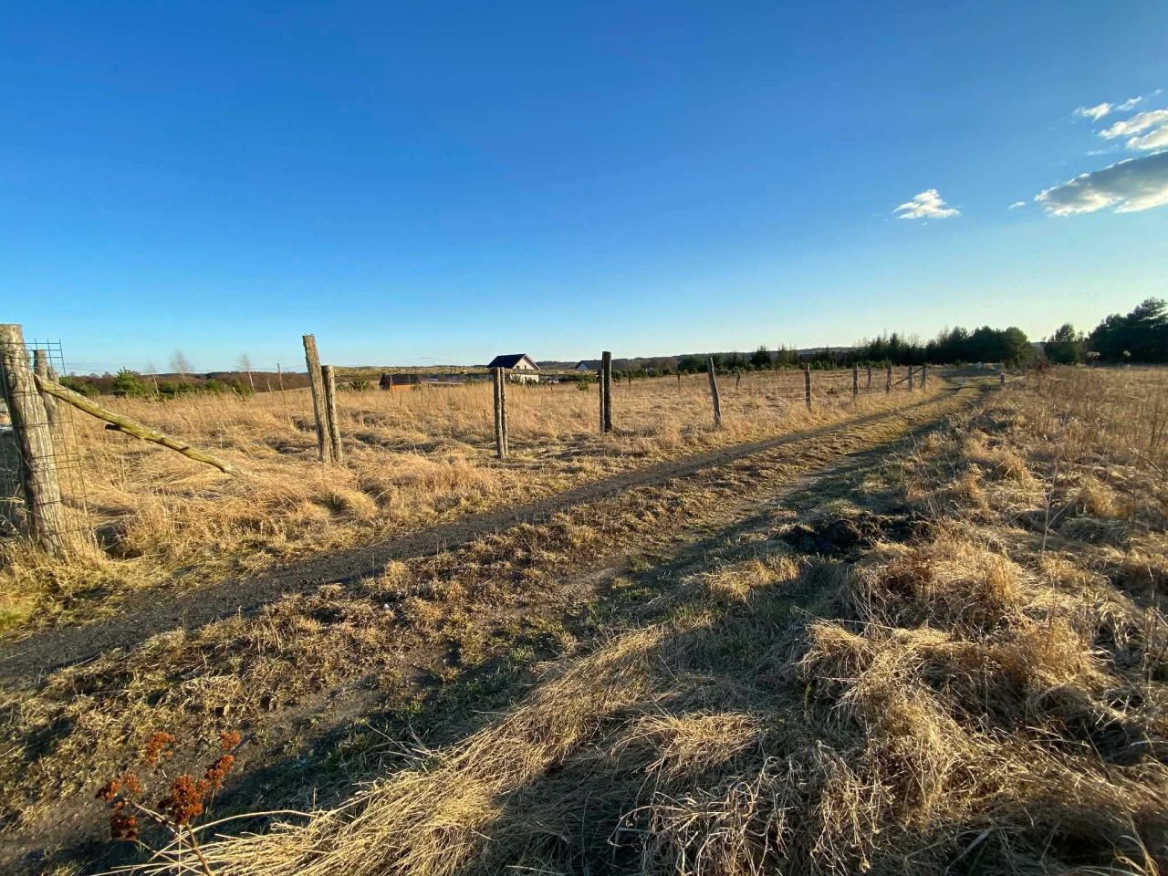 Działka rolna Lubieszewo. Zdjęcie 1