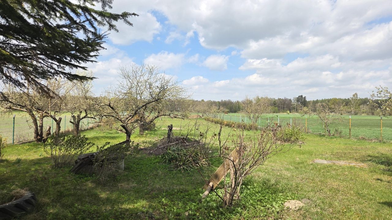 Działka rolna Szulborze Wielkie, Mianówek. Zdjęcie 3