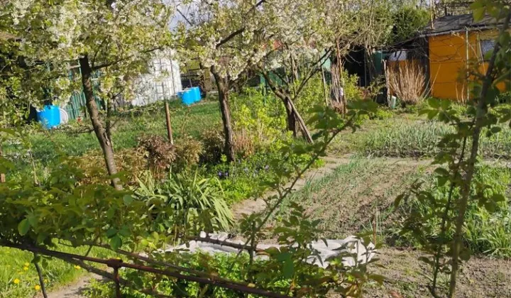 Działka rod Tarnobrzeg, ul. Kamionka