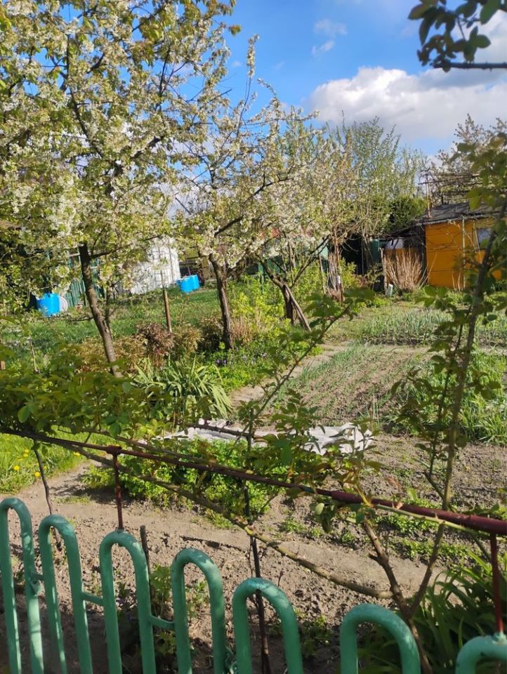 Działka rod Tarnobrzeg, ul. Kamionka. Zdjęcie 1