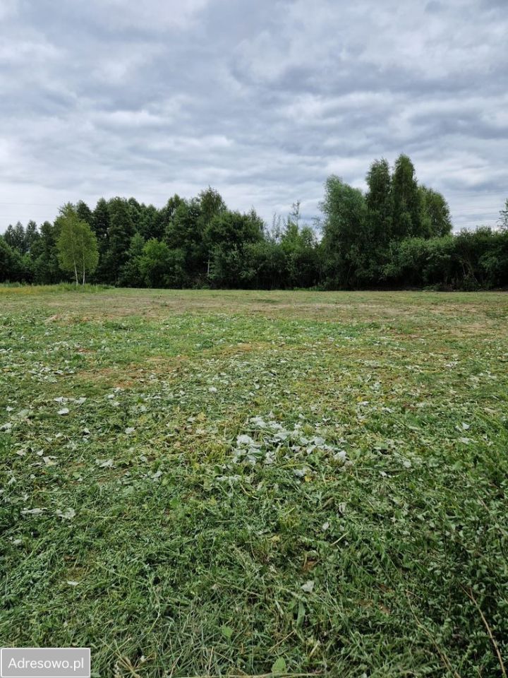 Działka budowlana Ostrowiec Świętokrzyski, ul. Truflowa. Zdjęcie 9