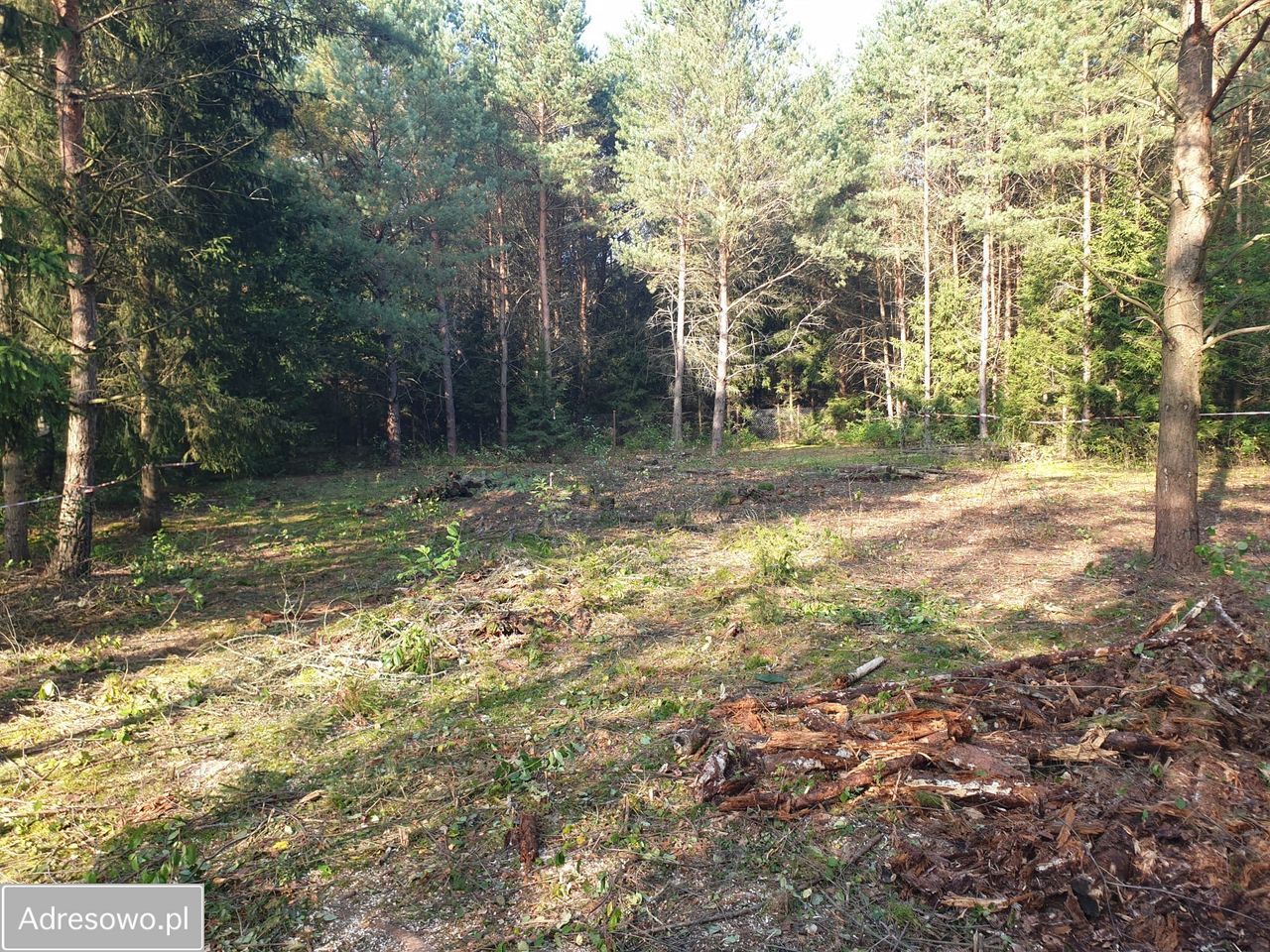 Działka rolna Wesołowo. Zdjęcie 2