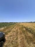 Działka budowlana Wiązownica. Zdjęcie 3