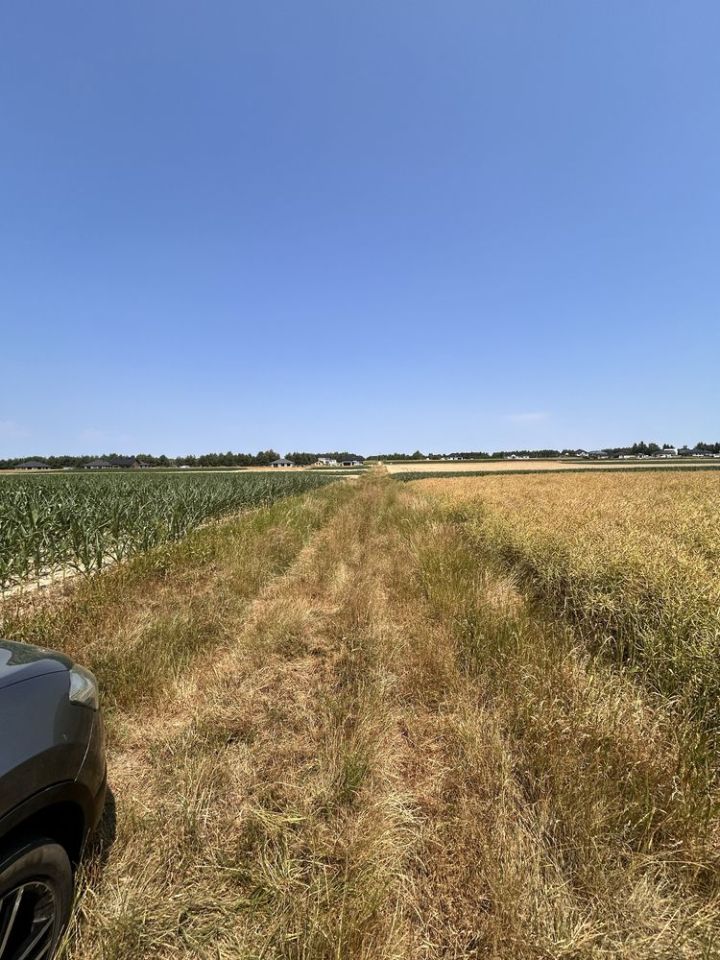 Działka budowlana Wiązownica. Zdjęcie 4