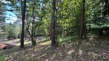 Działka budowlana Wysowa-Zdrój. Zdjęcie 3