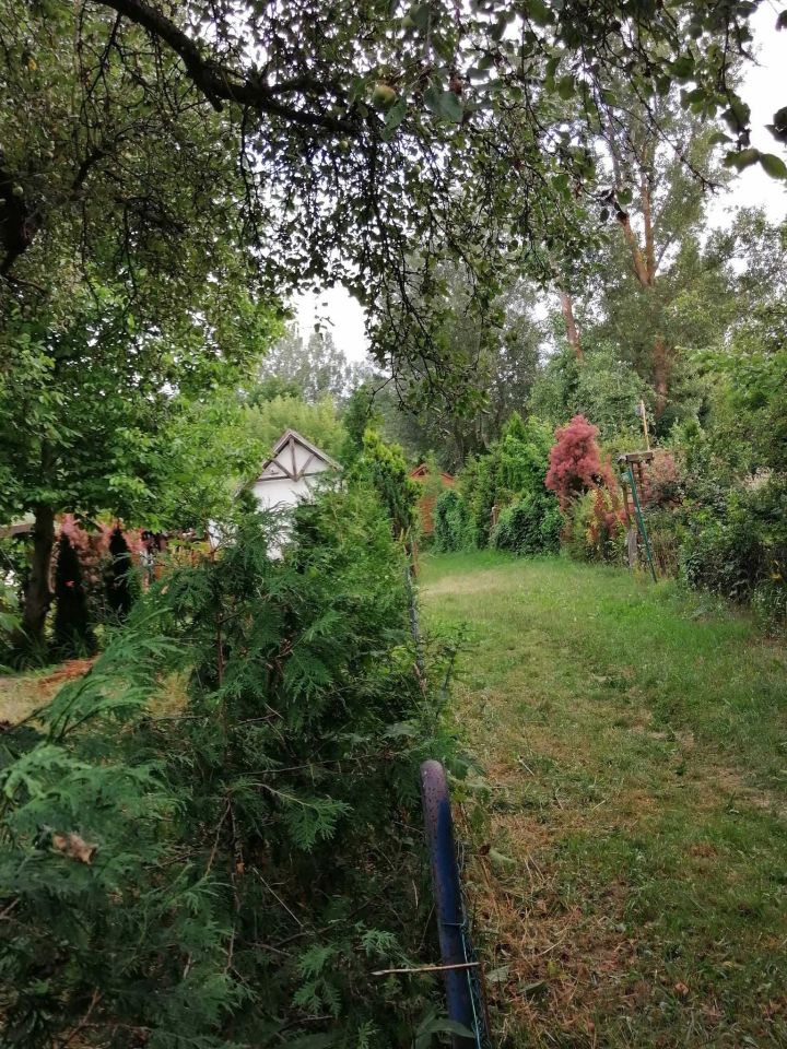 Działka rod Toruń. Zdjęcie 5