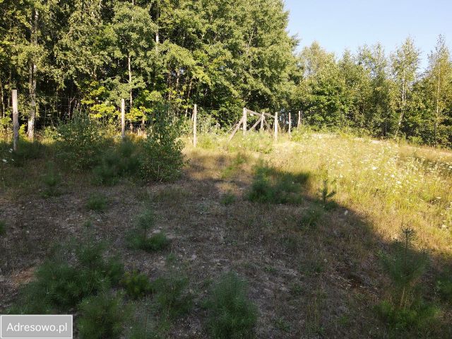 Działka budowlana Koleczkowo, ul. Alfreda Loepera. Zdjęcie 1