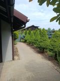 Działka rod Sosnowiec, ul. Społeczna. Zdjęcie 1