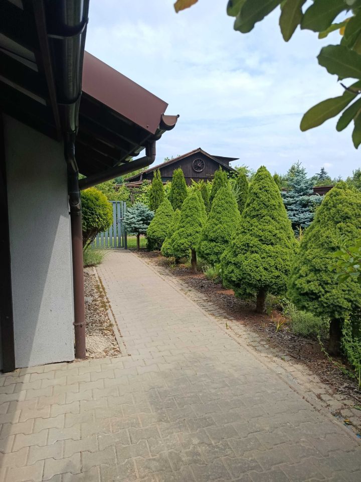 Działka rod Sosnowiec, ul. Społeczna. Zdjęcie 2