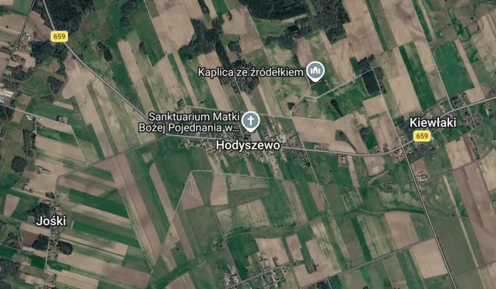 Działka leśna Hodyszewo, Brak