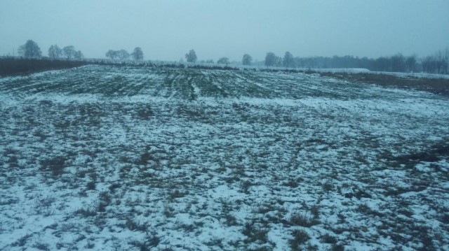 Działka budowlana Przyjaźń, ul. Dworcowa. Zdjęcie 1