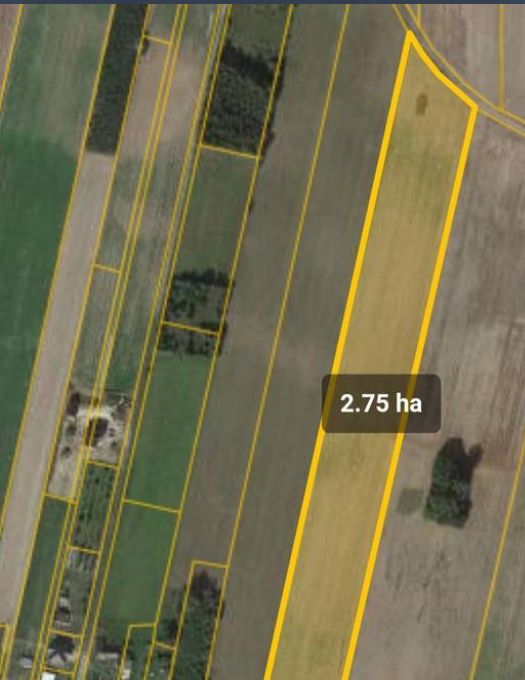 Działka rolno-budowlana Piaseczno. Zdjęcie 3