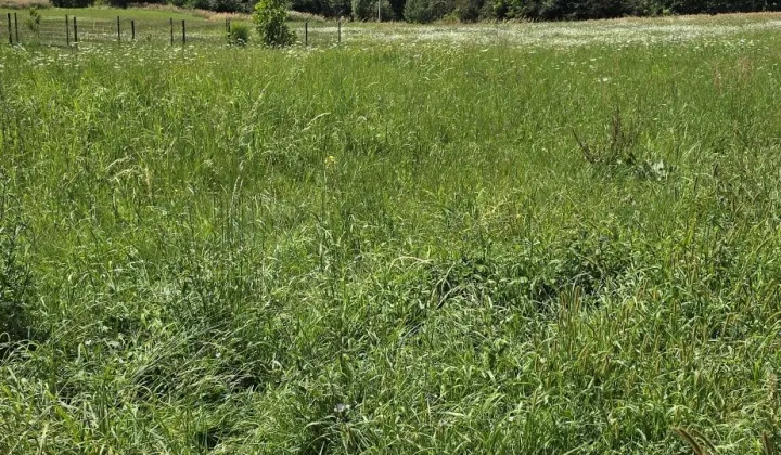 Działka budowlana Łaziska Górne Brada, ul. Bukowa