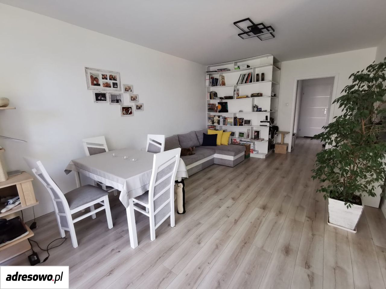 Mieszkanie 3-pokojowe Kamieniec Wrocławski, ul. Graniczna. Zdjęcie 3