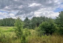 Działka rolna Janopol. Zdjęcie 1