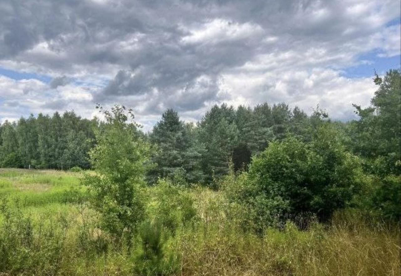 Działka rolna Janopol. Zdjęcie 2