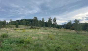 Działka budowlana Jelenia Góra Cieplice Śląskie-Zdrój