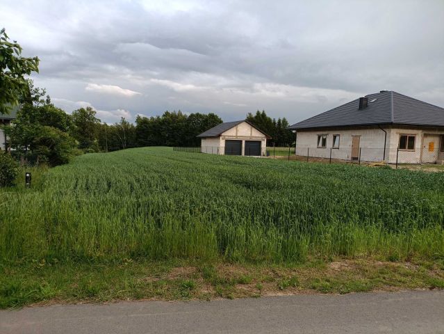 Działka budowlana Brzozówka-Kolonia. Zdjęcie 1