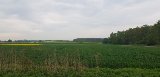 Działka budowlana Jabłonna Druga. Zdjęcie 1