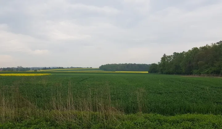 Działka budowlana Jabłonna Druga