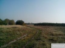 Działka rolno-budowlana Nowiny. Zdjęcie 2