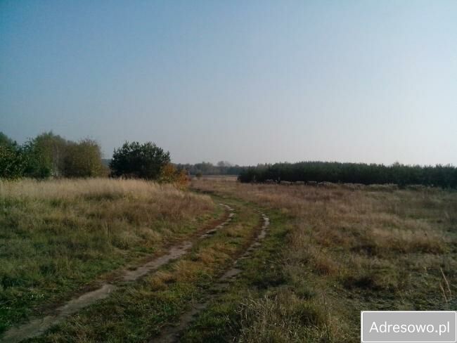 Działka rolno-budowlana Nowiny. Zdjęcie 3