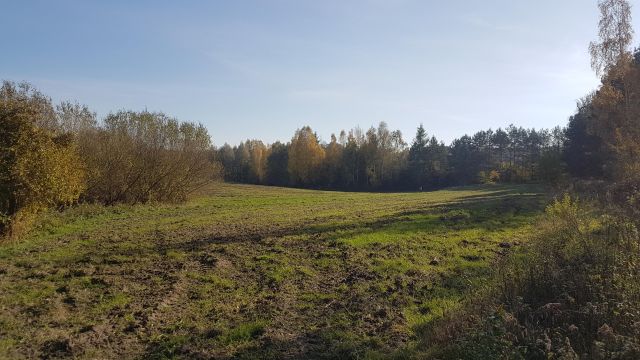 Działka rolno-budowlana Węgiersk. Zdjęcie 2