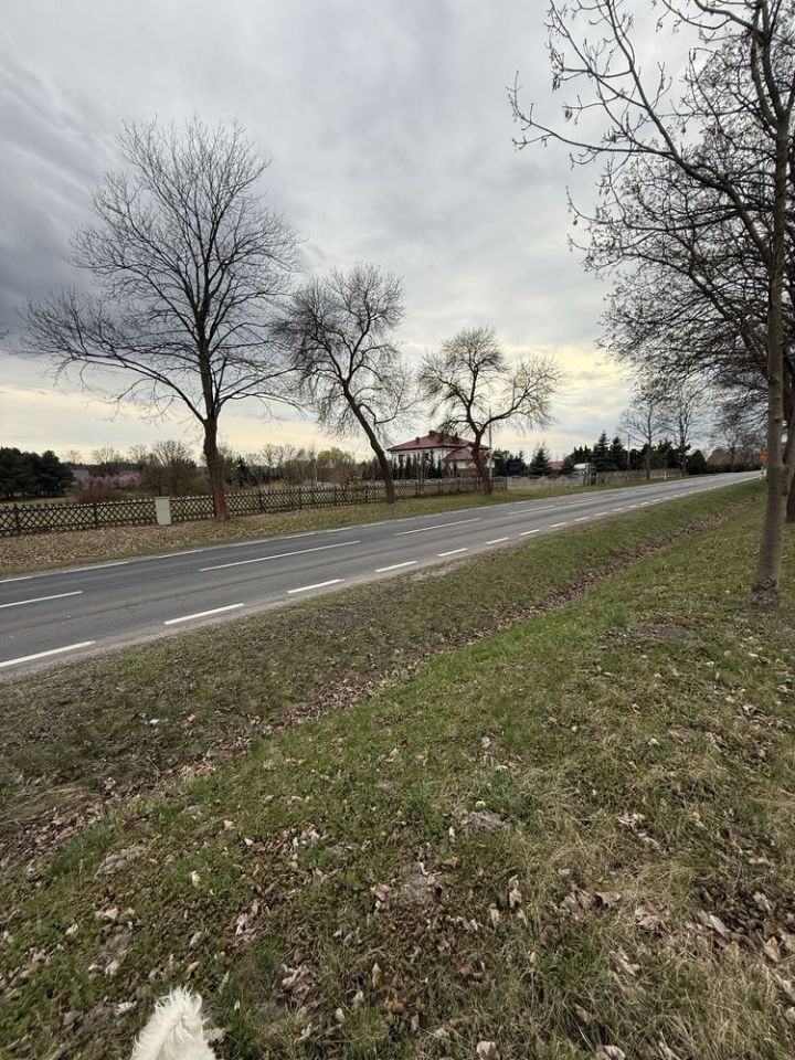 Działka budowlana Lipinki Łużyckie, ul. Żarska. Zdjęcie 4