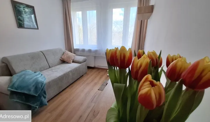 Mieszkanie 2-pokojowe Olsztyn Podgrodzie, ul. Janusza Korczaka