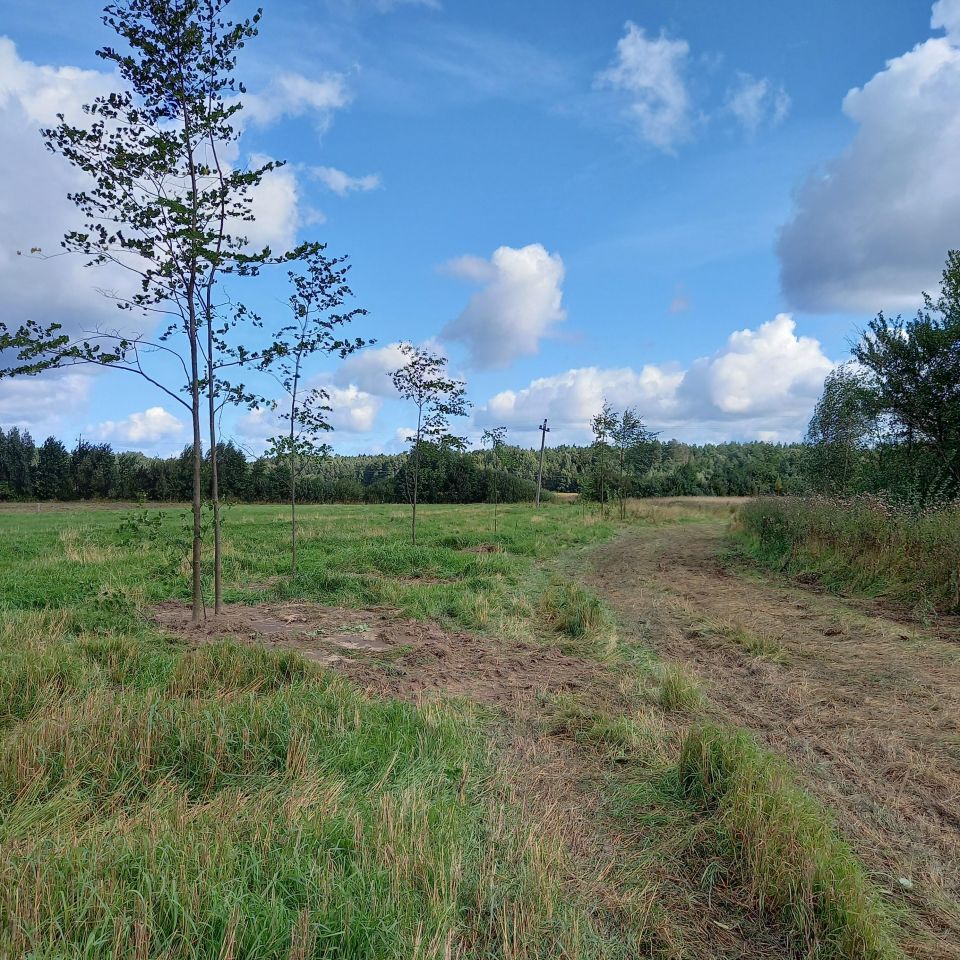 Działka rolno-budowlana Folwarki Wielkie. Zdjęcie 2