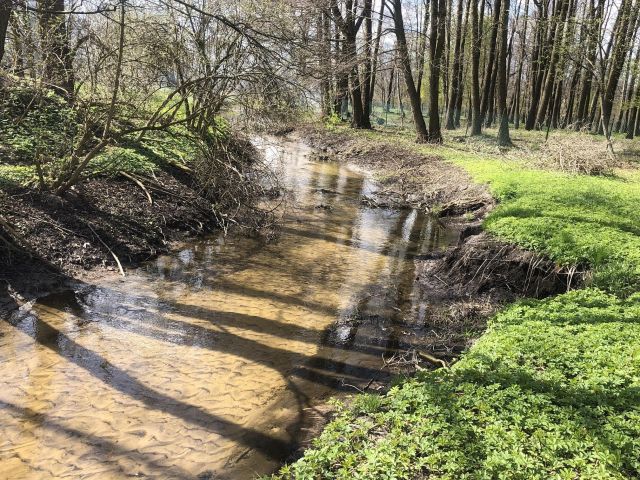 Działka inna Łódź Teofilów, ul. Kąkolowa. Zdjęcie 1