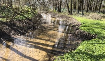 Działka inna Łódź Teofilów, ul. Kąkolowa