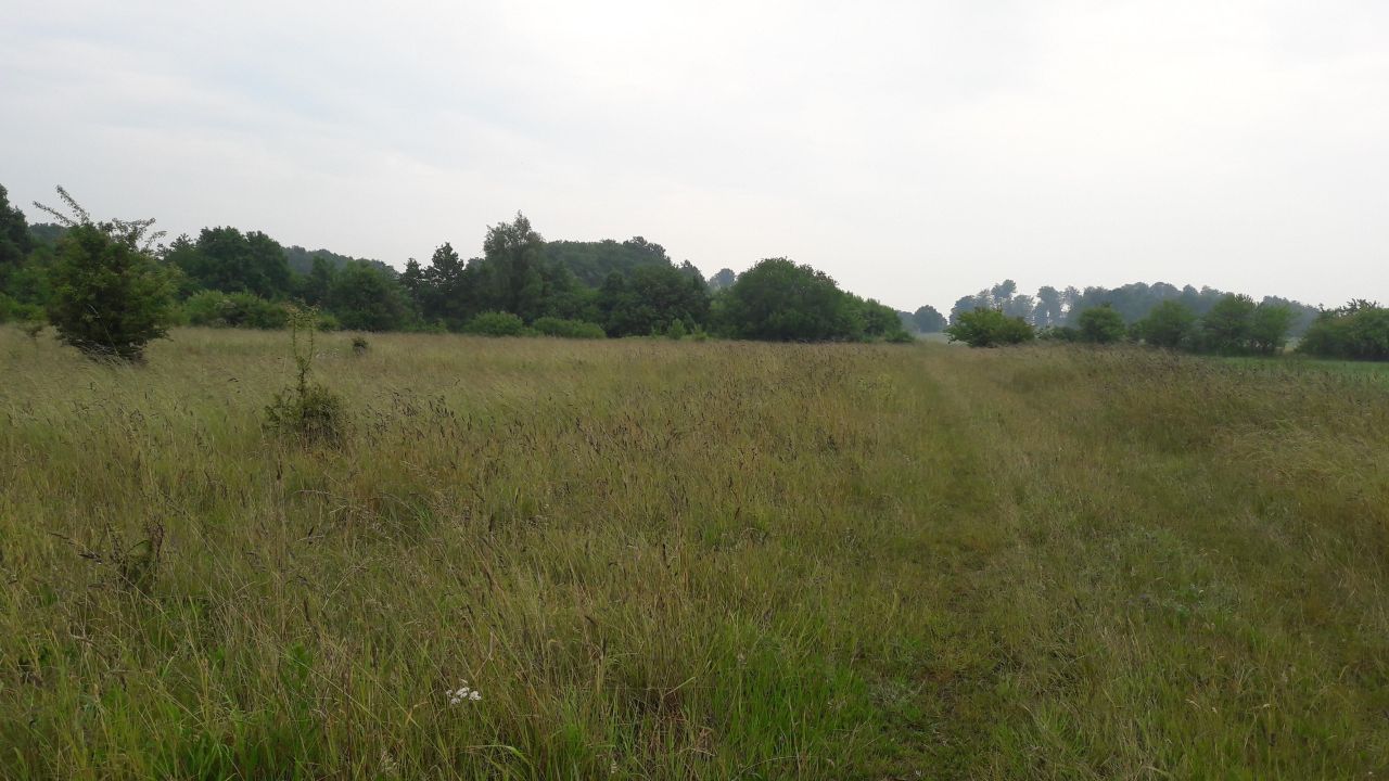 Działka inwestycyjna Jarosławiec, ul. Nadmorska. Zdjęcie 3